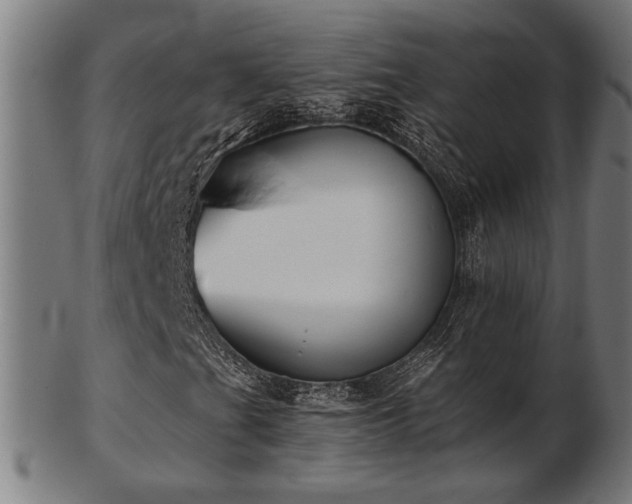 X0000103421201200809121259