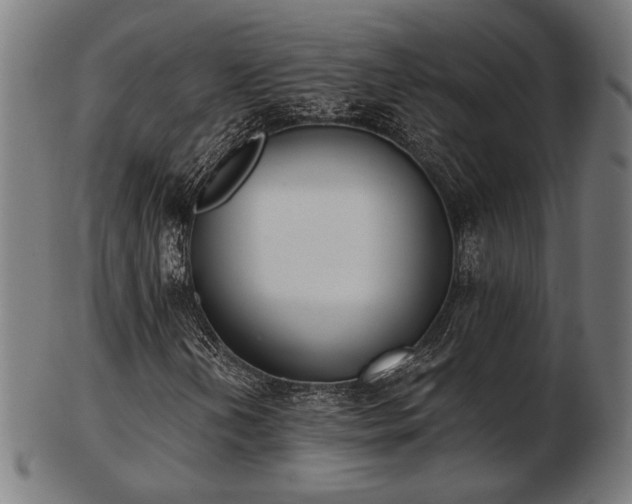 X0000103421202200809121259