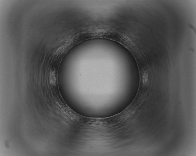 X0000103421204200809121259