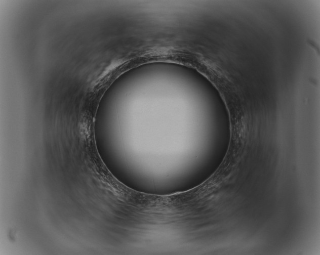 X0000103421206200809121259