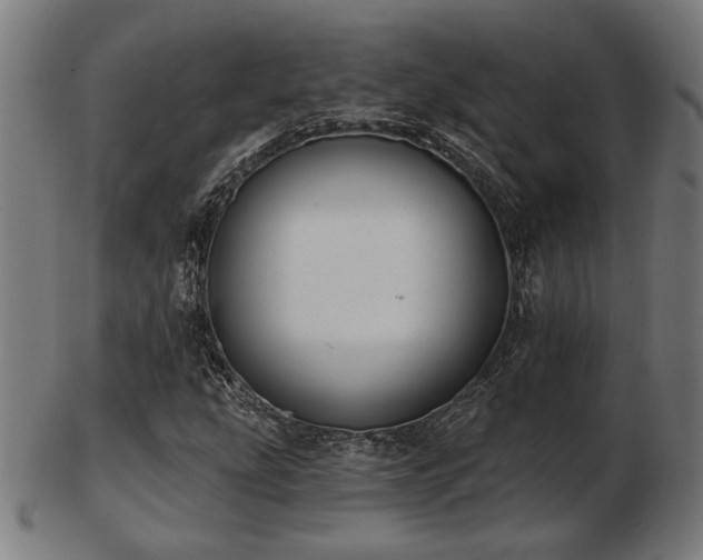 X0000103421207200809121259