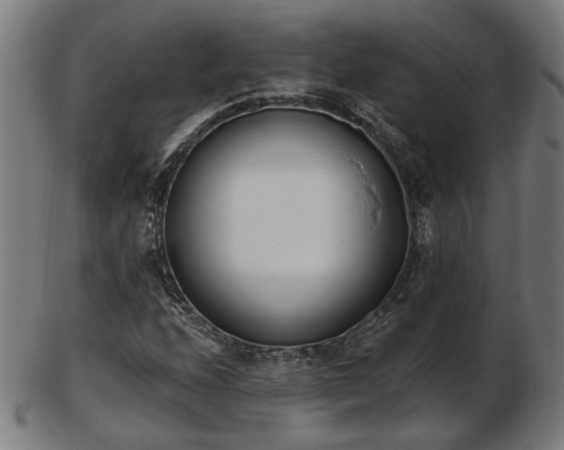 X0000103421208200809121259
