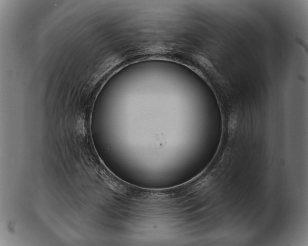 X0000103421209200809121259