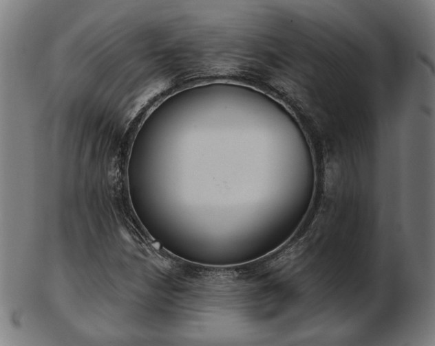 X0000103421210200809121259