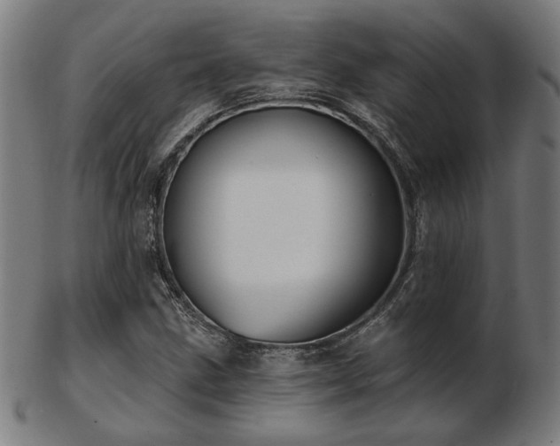 X0000103421211200809121259