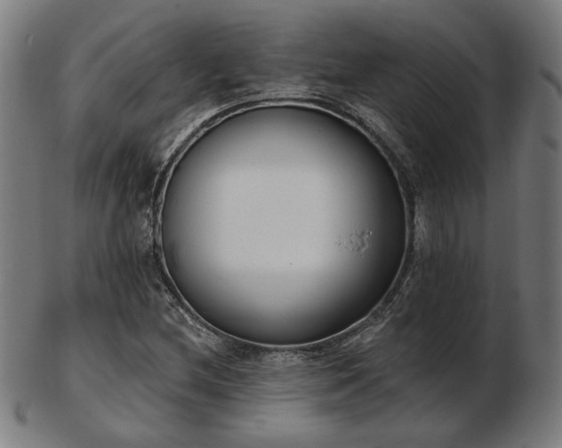X0000103421212200809121259
