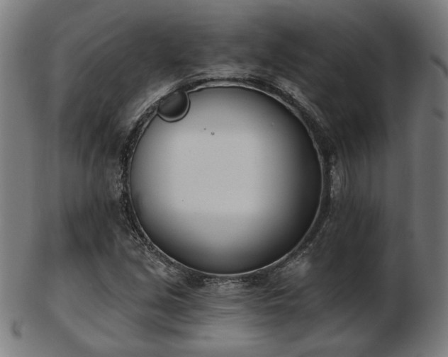 X0000103421213200809121259