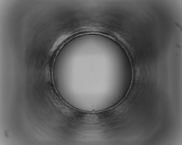 X0000103421215200809121259
