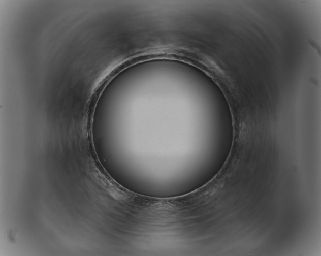 X0000103421216200809121259
