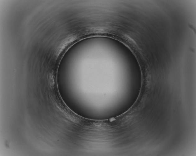 X0000103421218200809121259