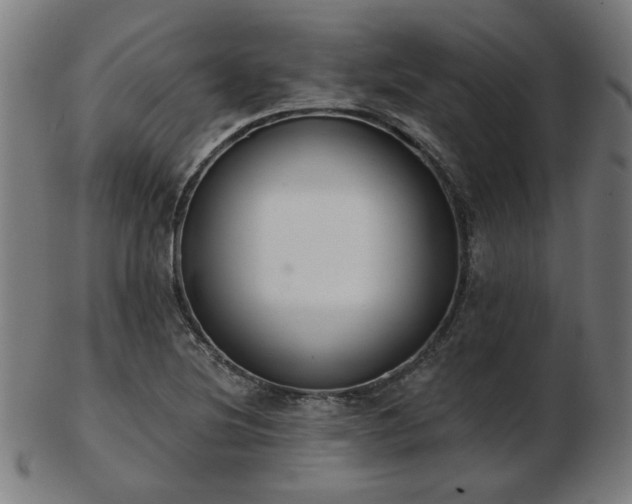 X0000103421220200809121259