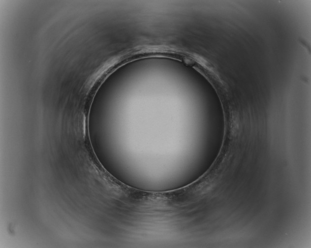 X0000103421221200809121259