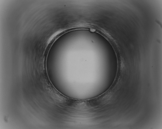 X0000103421222200809121259