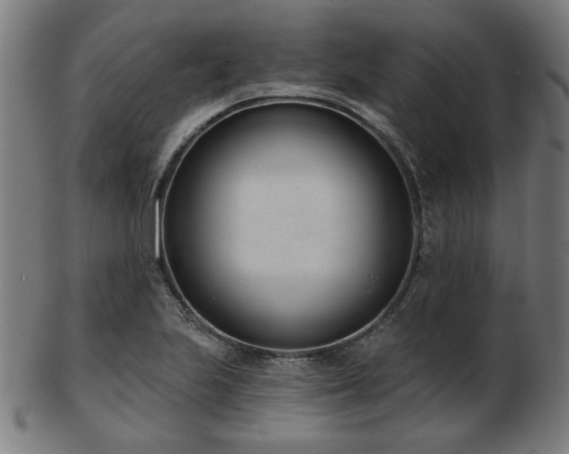 X0000103421223200809121259