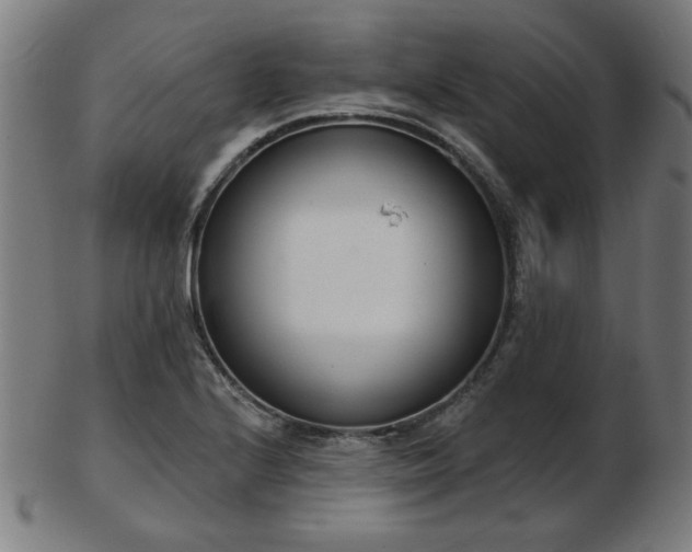X0000103421224200809121259