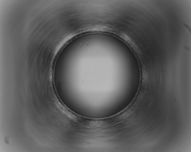 X0000103421232200809121300