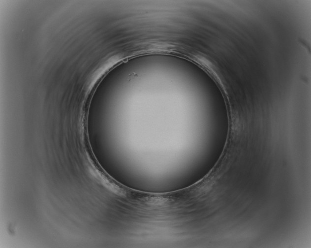 X0000103421235200809121300