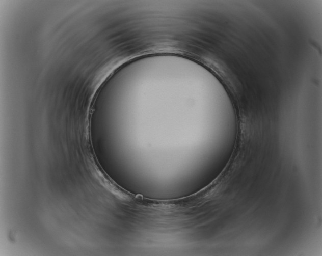 X0000103421236200809121300