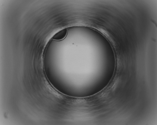 X0000103421238200809121300