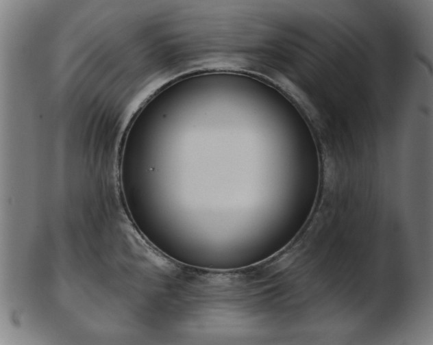 X0000103421240200809121300