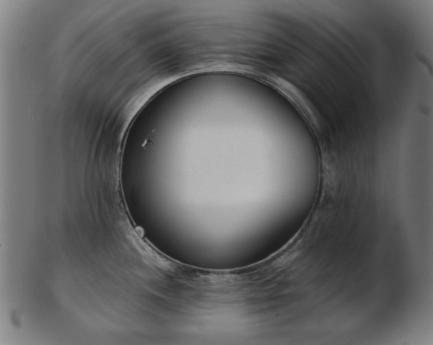 X0000103421244200809121300
