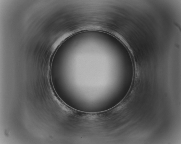 X0000103421245200809121300