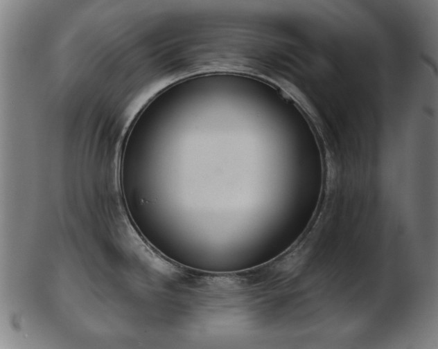X0000103421246200809121300