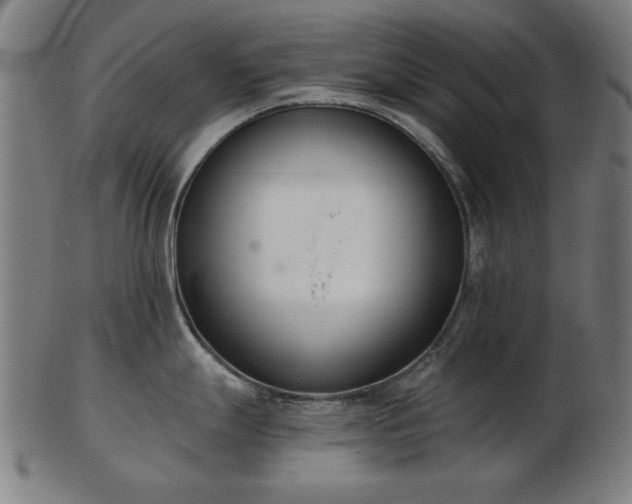 X0000103421247200809121300