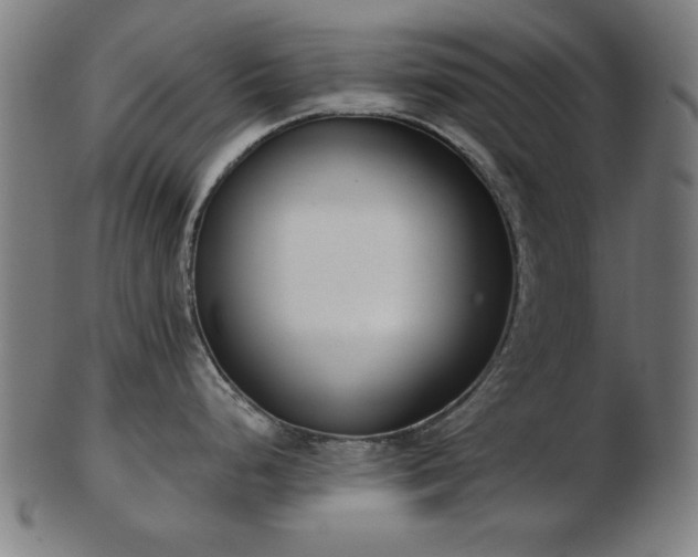 X0000103421248200809121300