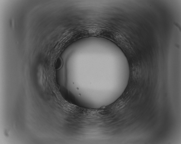 X0000103421249200809121259