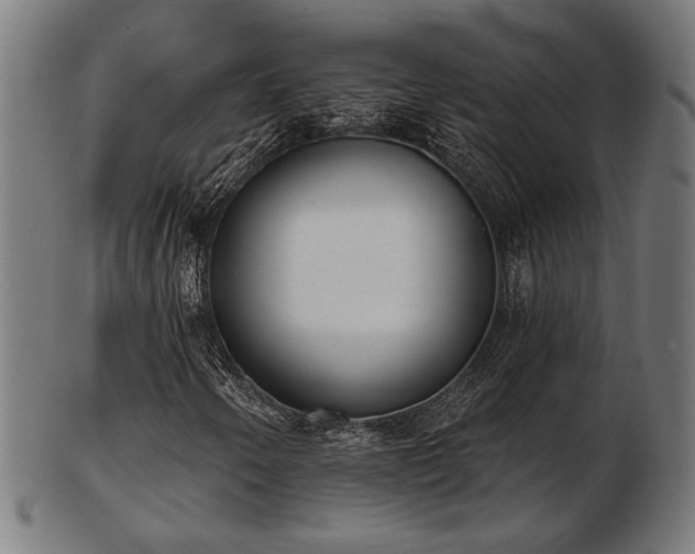 X0000103421250200809121259