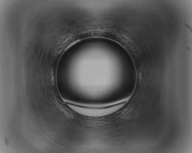 X0000103421252200809121259