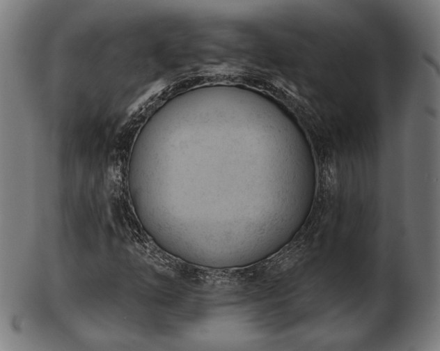 X0000103421254200809121259