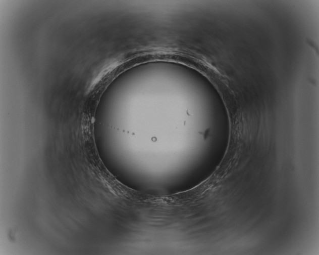 X0000103421255200809121259