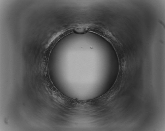 X0000103421256200809121259