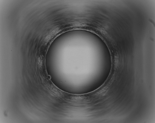 X0000103421257200809121259
