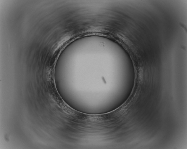 X0000103421258200809121259