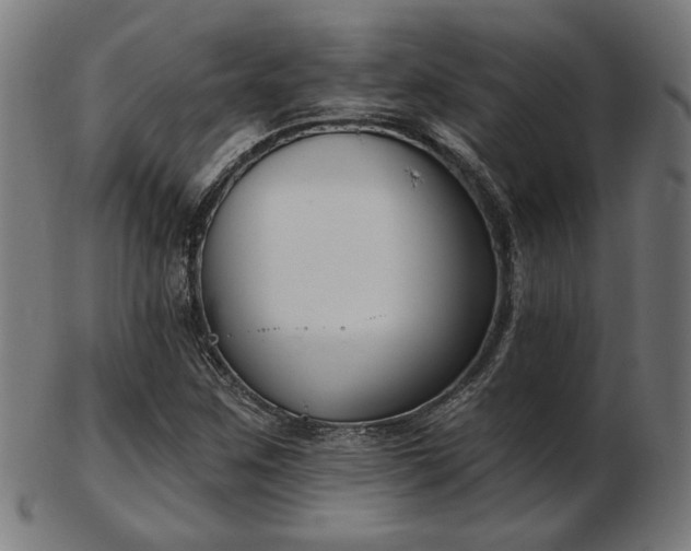 X0000103421259200809121259