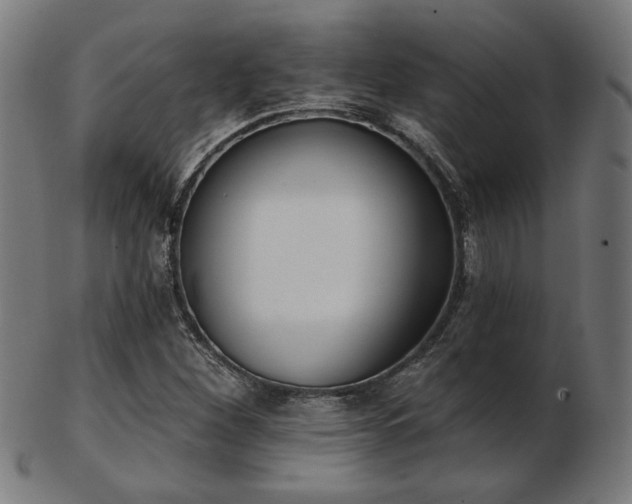 X0000103421260200809121259
