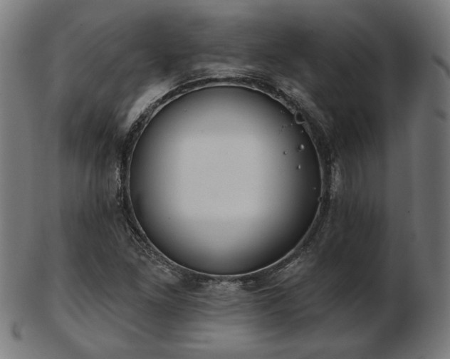 X0000103421261200809121259