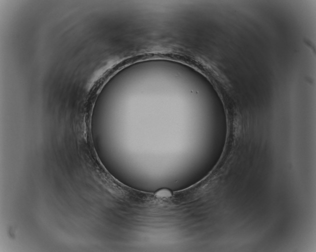 X0000103421262200809121259