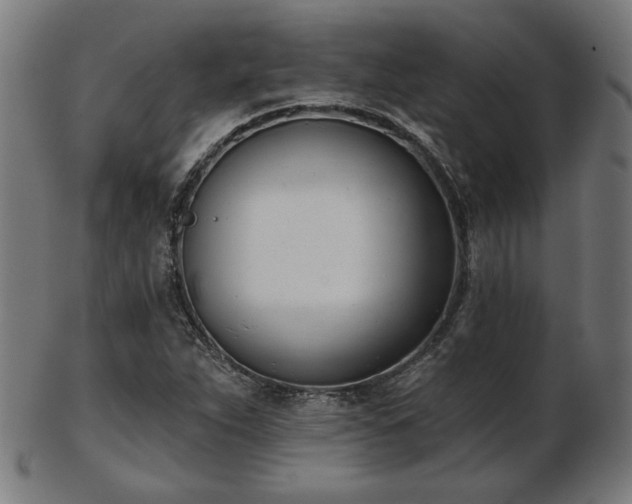 X0000103421263200809121259