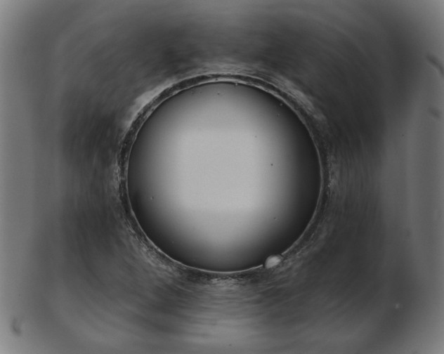 X0000103421264200809121259