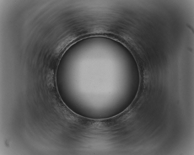 X0000103421265200809121259