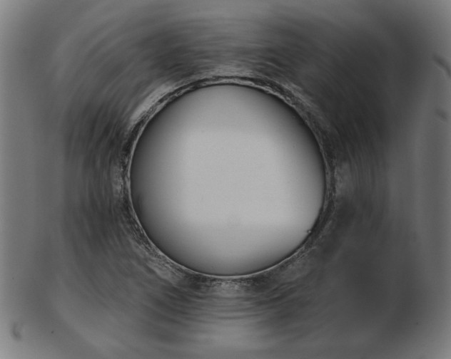 X0000103421266200809121259
