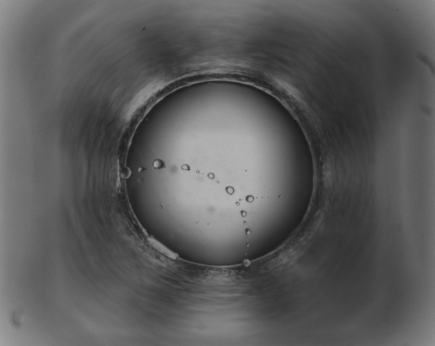 X0000103421267200809121259