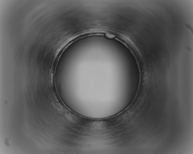 X0000103421268200809121259