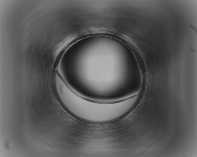 X0000103421269200809121259