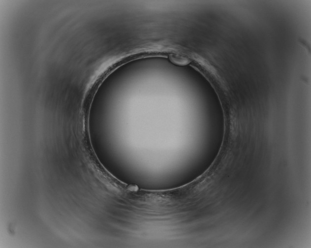 X0000103421270200809121259