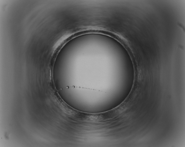 X0000103421271200809121259